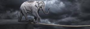 How becoming a risk taker can elevate you to the next level